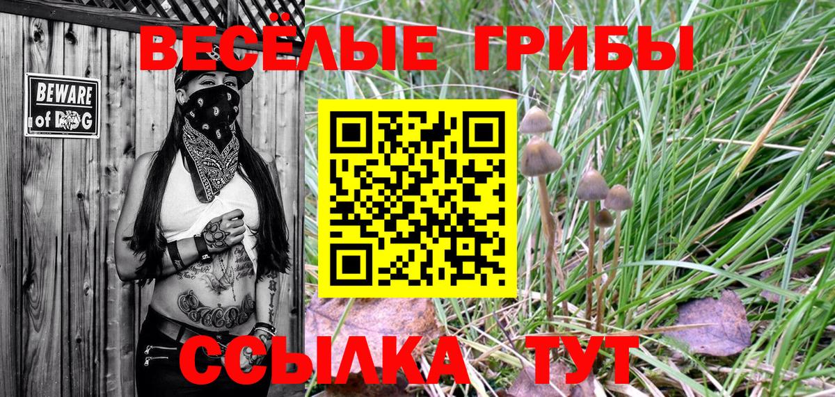 наркотики  Галлюциногенные грибы Psilocybe  Вход с VPN  Красногорск 